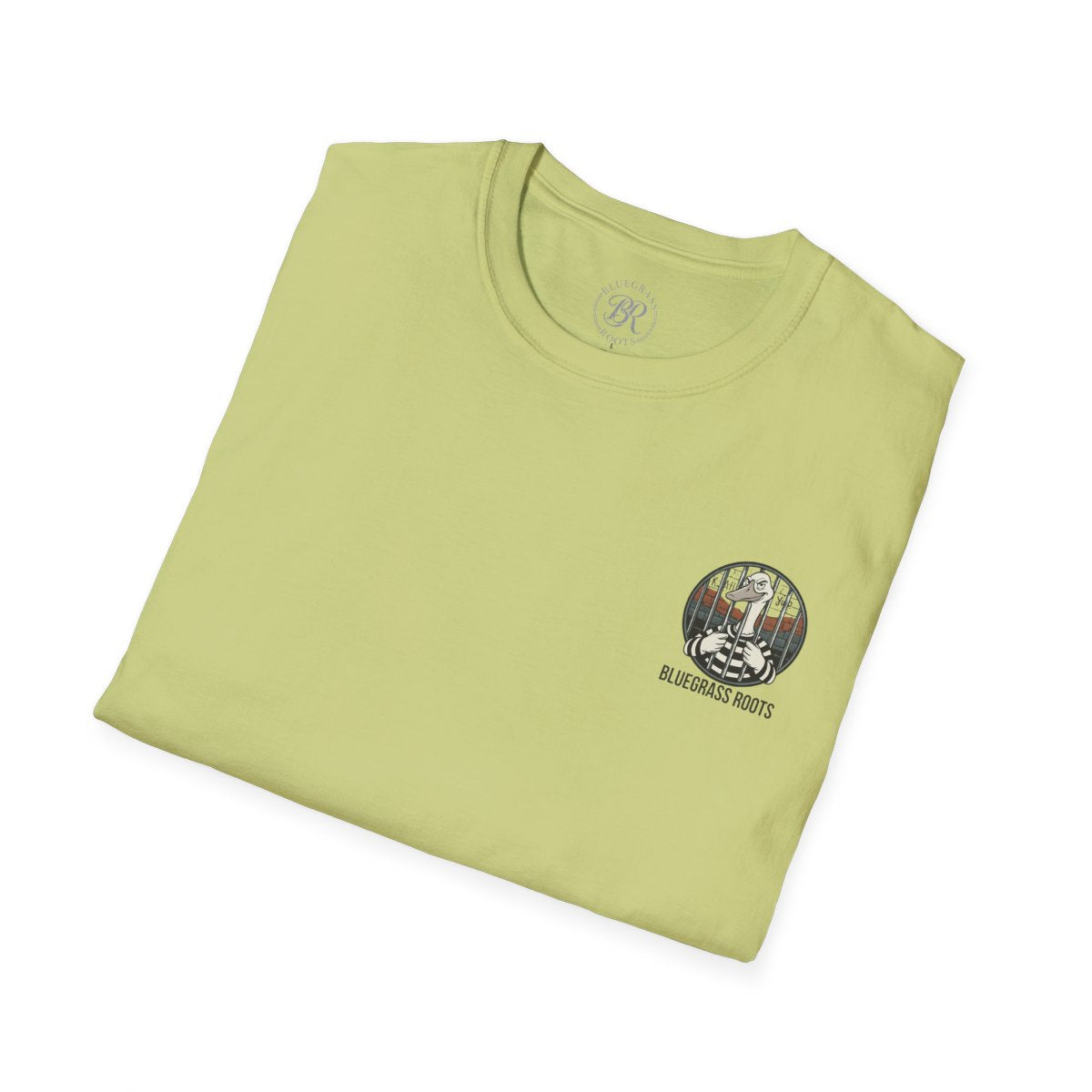 Silly Goose Shirt — "Got Too Dang Silly" Graphic Tee in Pistachio