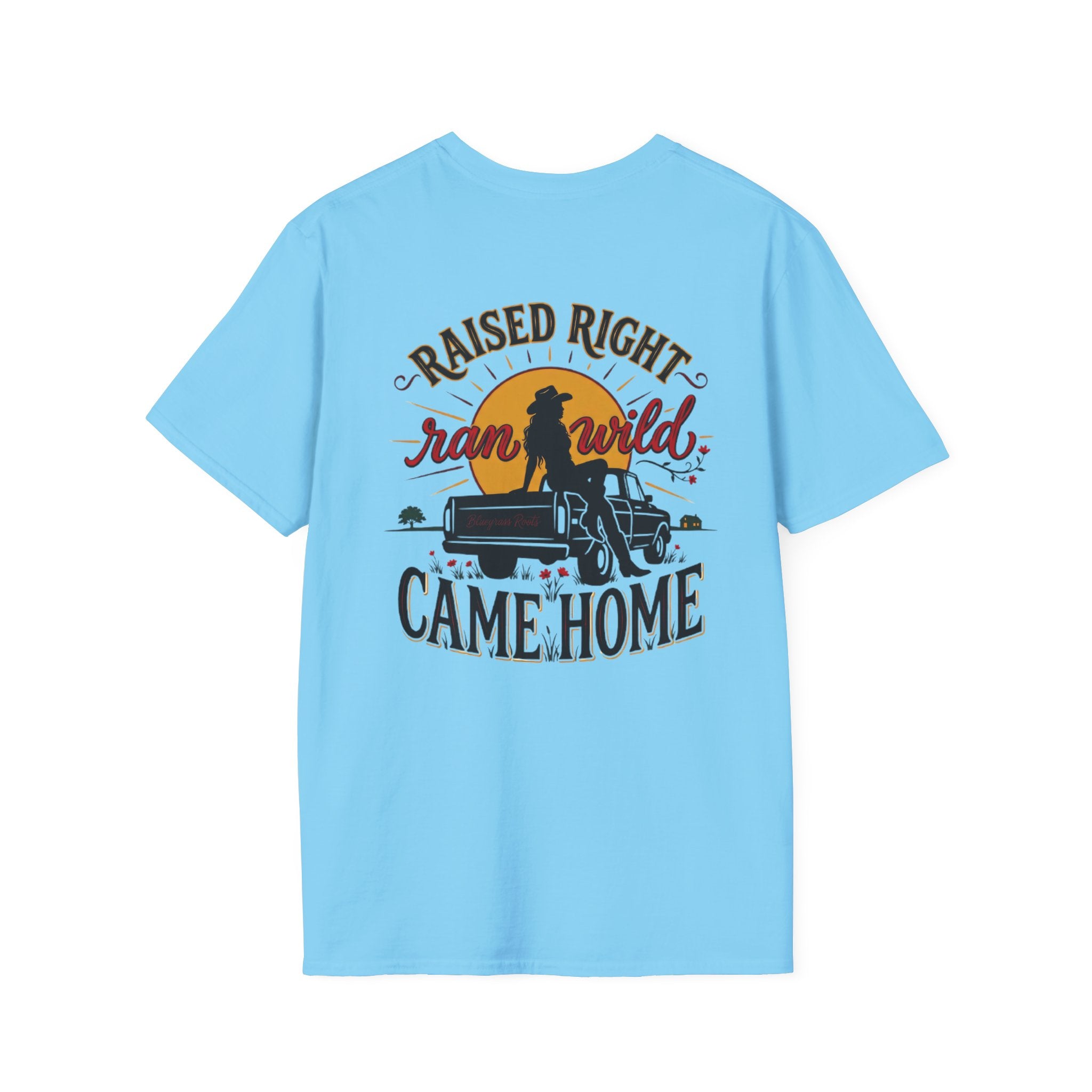 Bluegrass Roots Raised Right Ran Wild Came Home sunset tailgate tee back graphic in Sky