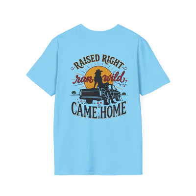 Bluegrass Roots Raised Right Ran Wild Came Home sunset tailgate tee back graphic in Sky