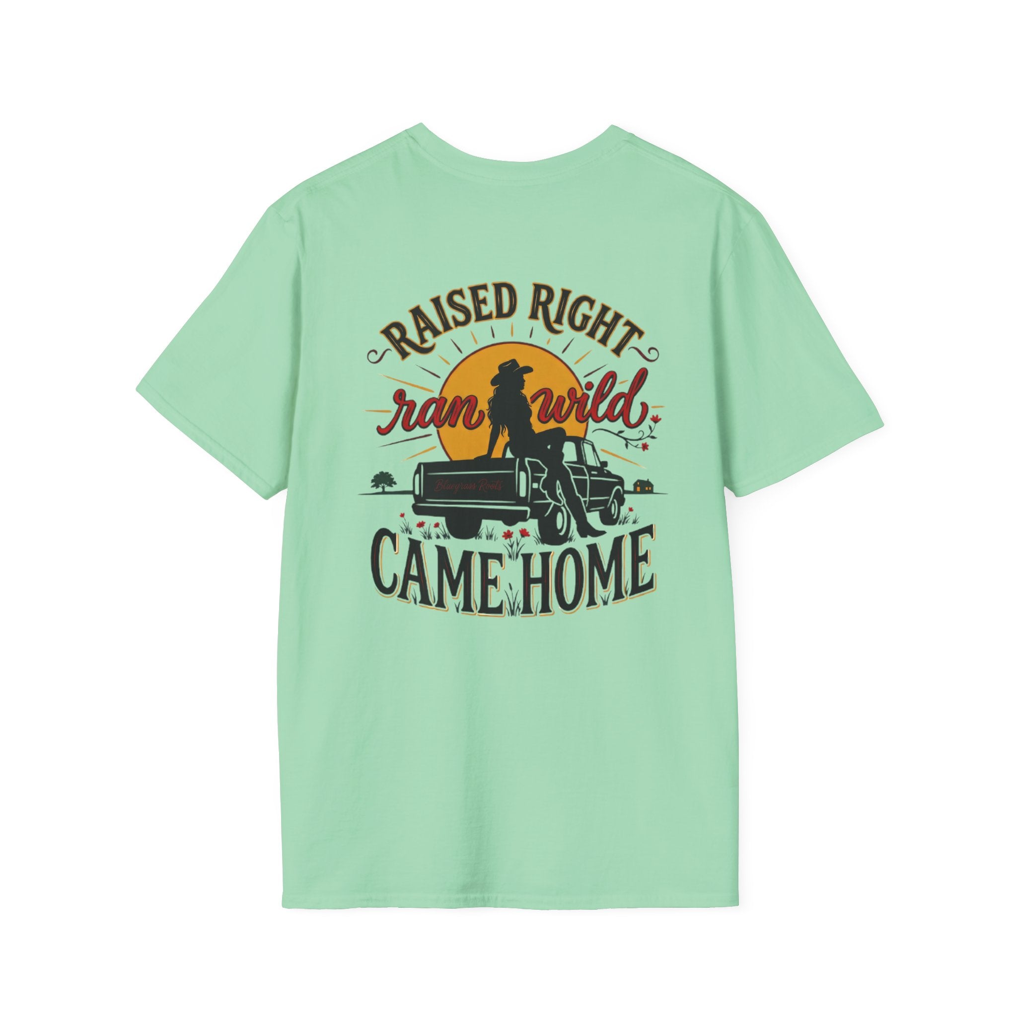 Bluegrass Roots Raised Right Ran Wild Came Home sunset tailgate tee back graphic in Mint Green