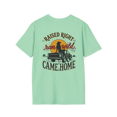 Bluegrass Roots Raised Right Ran Wild Came Home sunset tailgate tee back graphic in Mint Green