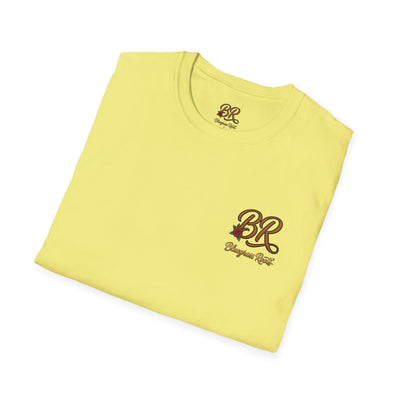 Bluegrass Roots Blessed Stressed Southern Obsessed tee folded stack detail