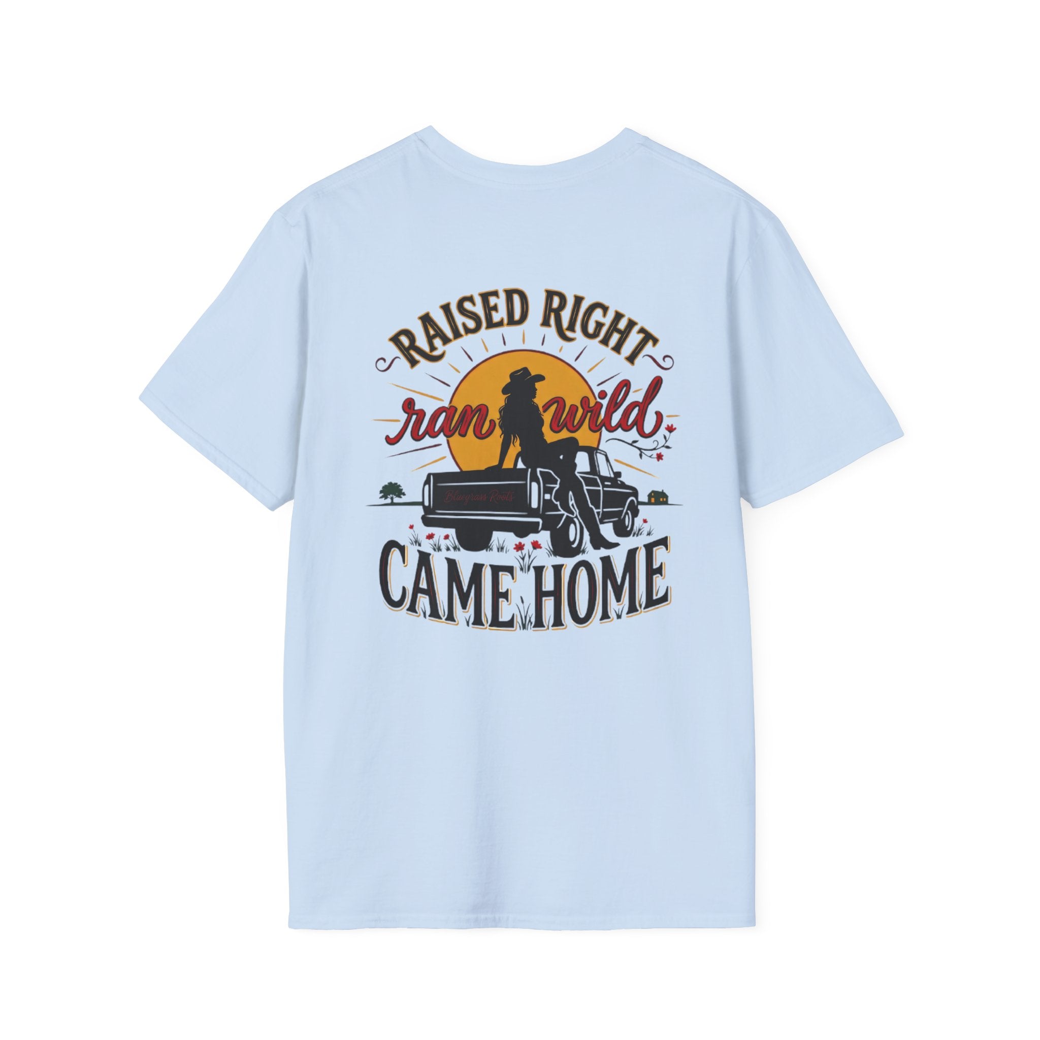 Bluegrass Roots Raised Right Ran Wild Came Home sunset tailgate tee back graphic in Light Blue