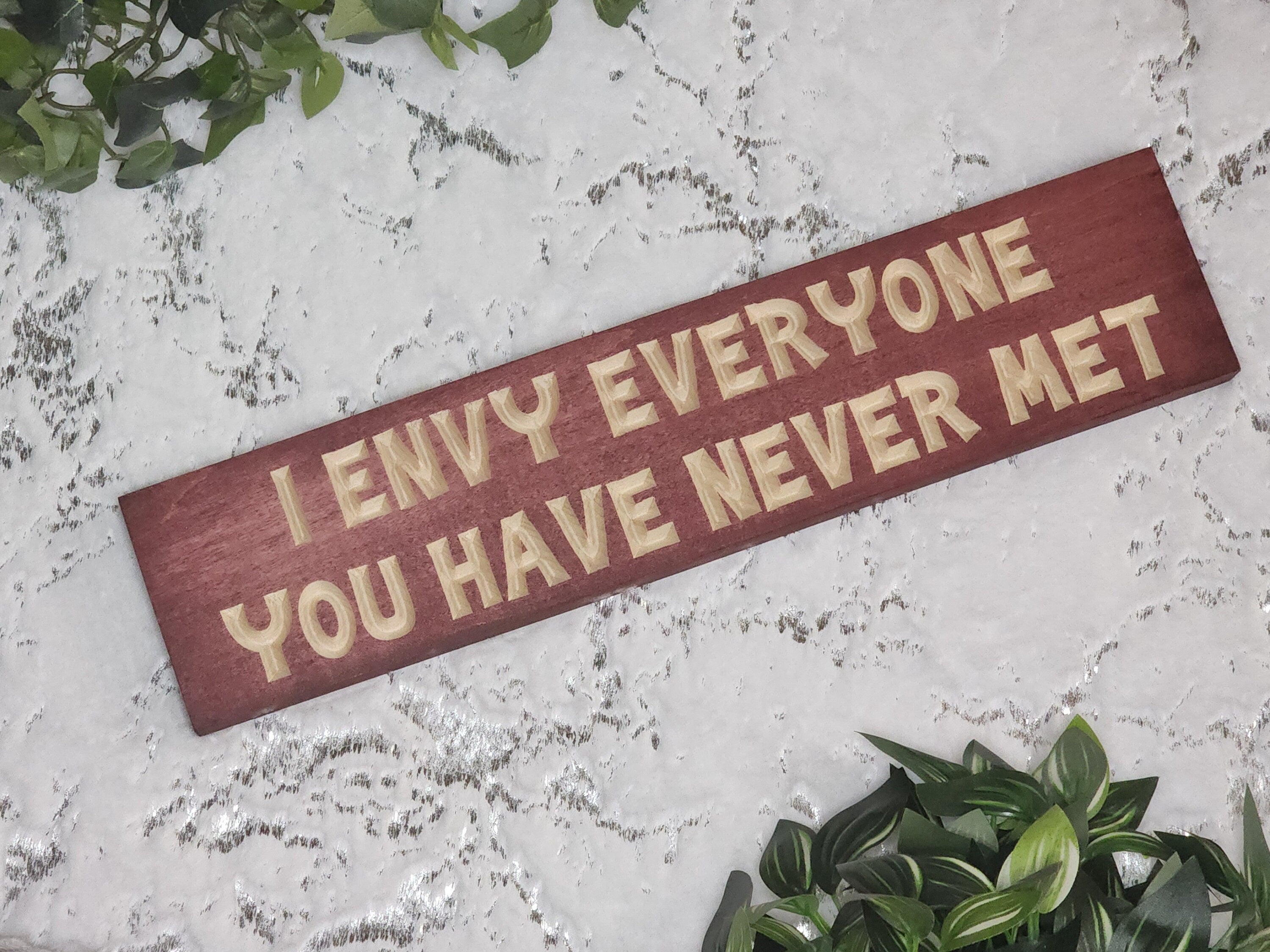 I Envy Everyone You Have Never Met funny wood sign for sarcastic home decor.
