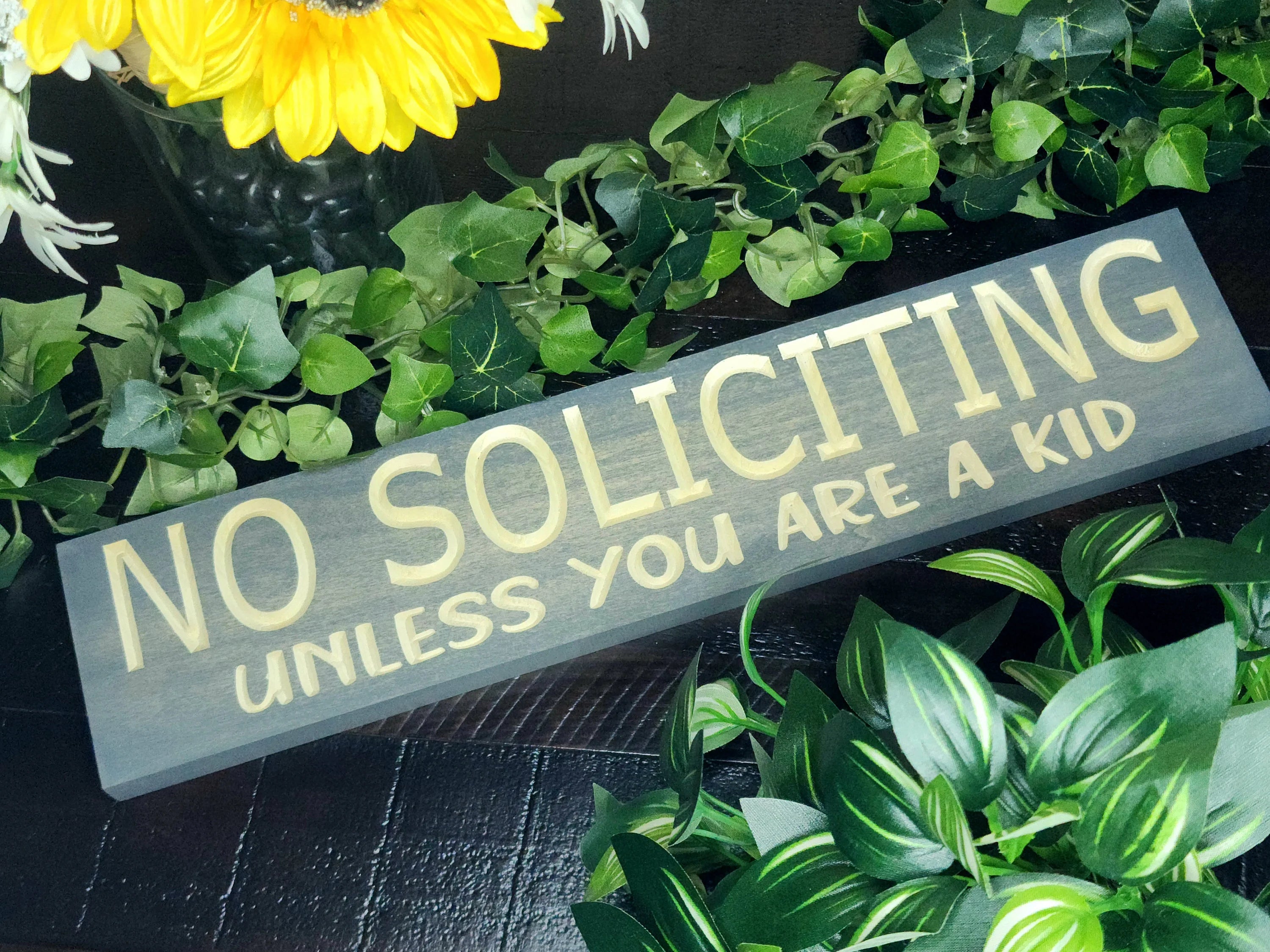 Rustic wooden "No Soliciting! Unless You Are a Kid" sign displayed on a front door.
