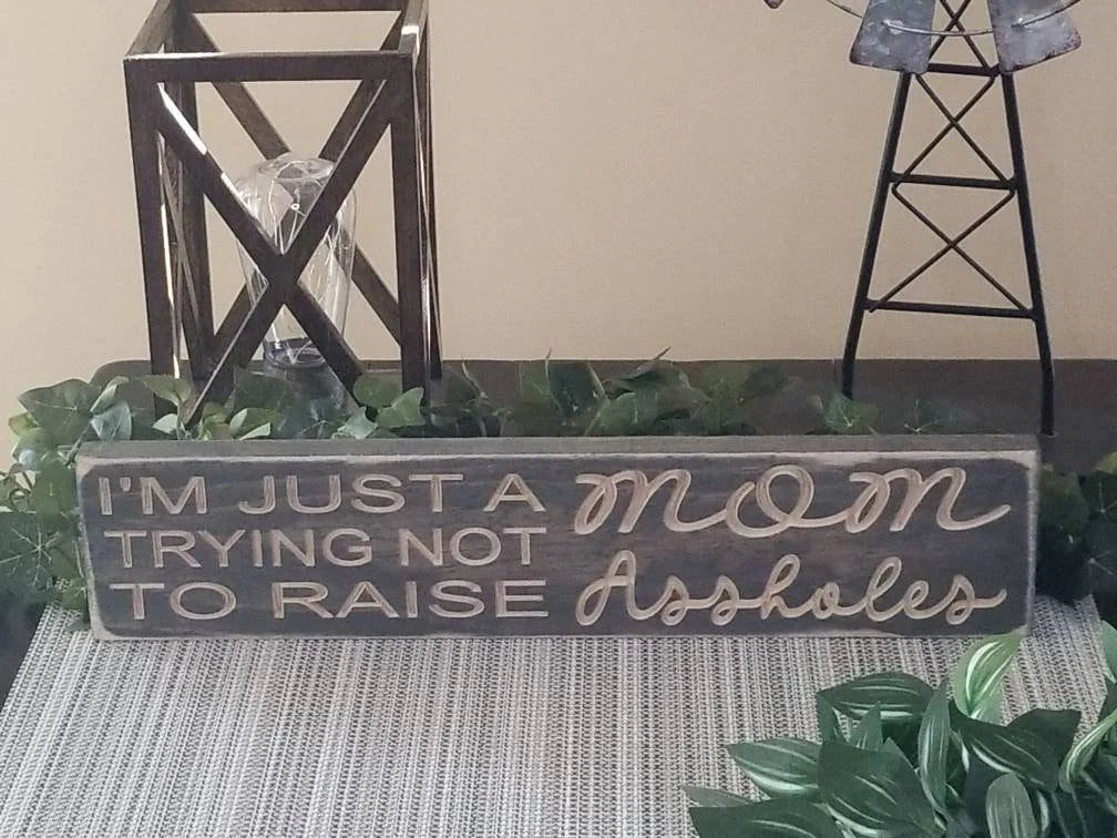 Sarcastic parenting sign with a funny quote for Mother’s Day or home wall decor.