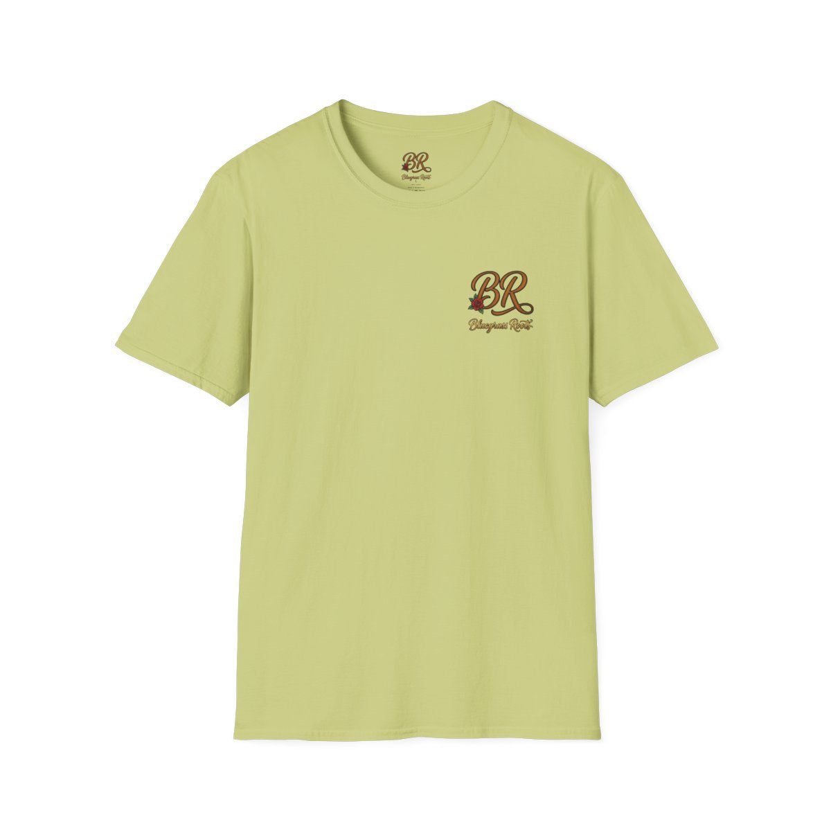 Country Shirt for Women — "Blessed, Stressed & Southern Obsessed" in Pistachio