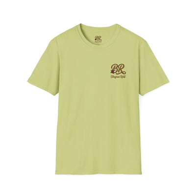 Country Shirt for Women — "Blessed, Stressed & Southern Obsessed" in Pistachio
