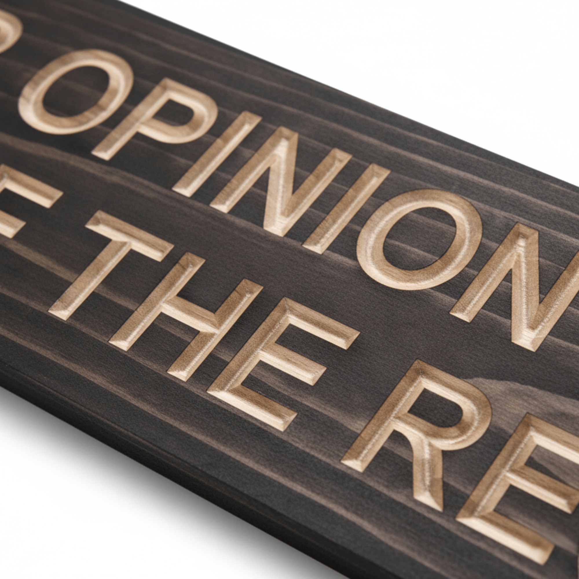 bluegrass-gifts-wooden-sign-us-vs-them - your opinion is not part wood sign by Bluegrass Gifts, handmade in Kentucky